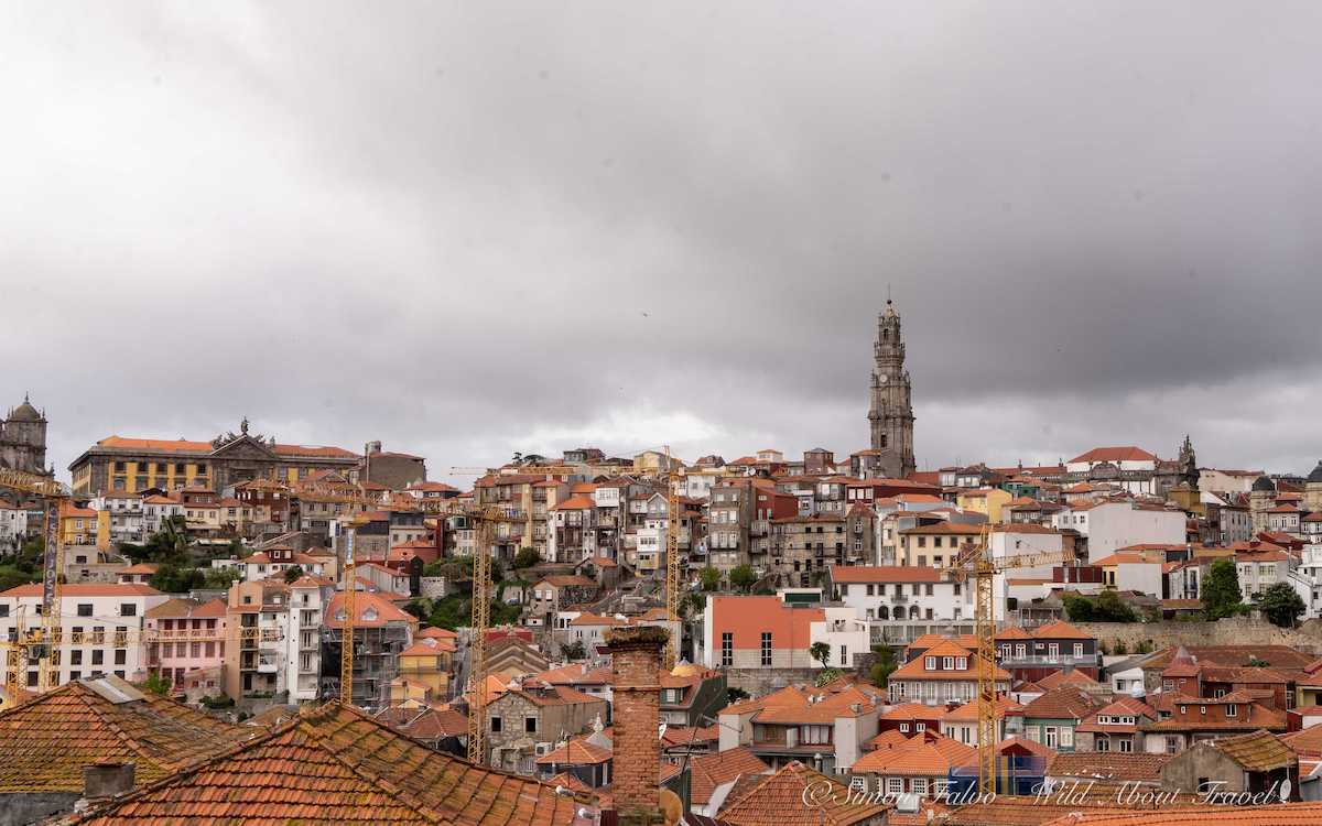 Porto Torre dos Clérigos