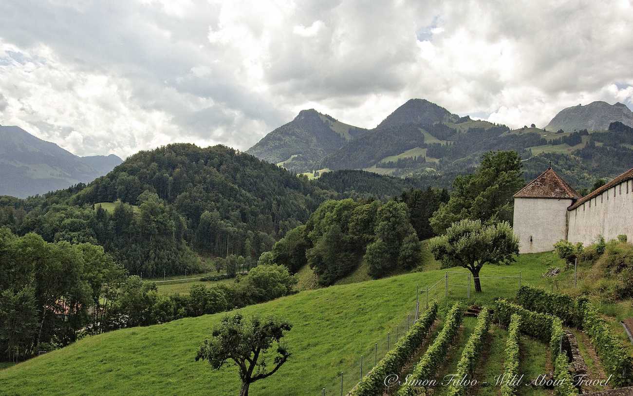 Gruyères Hills