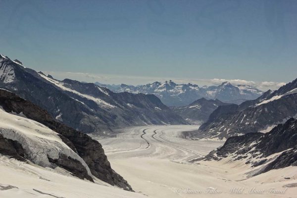 The most scenic train rides in Switzerland. Discover the best of the Alps