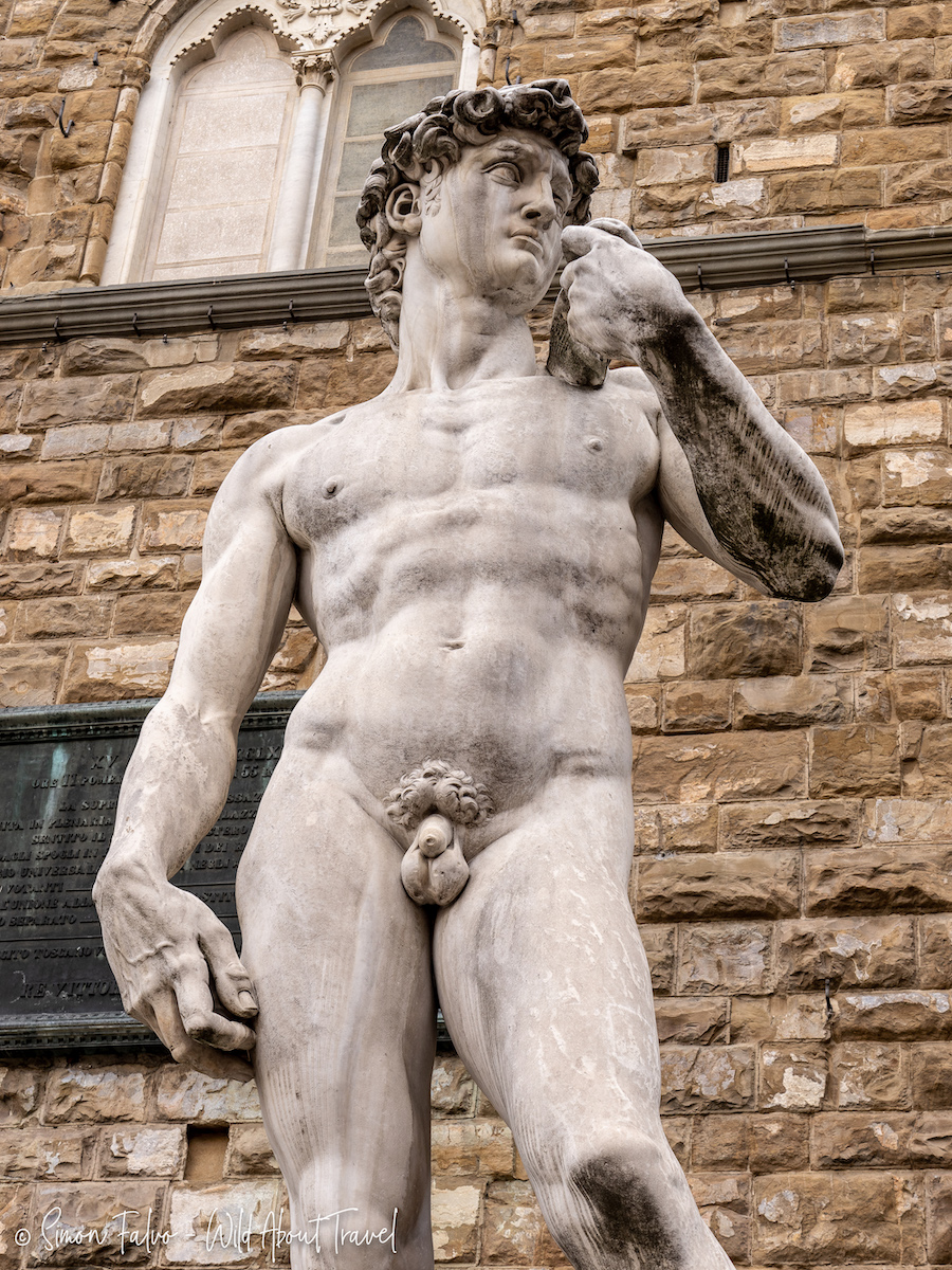 visit florence in a day