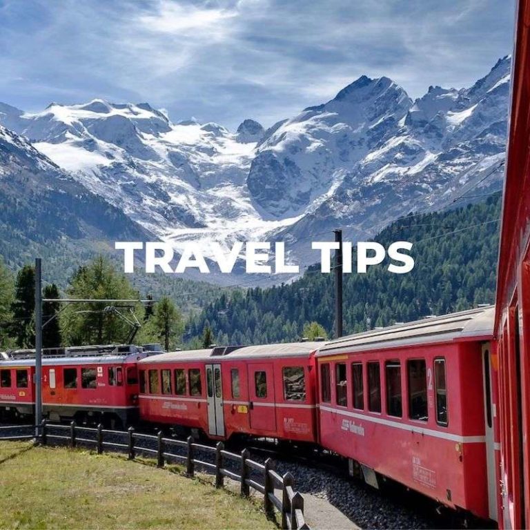 Wild About Travel